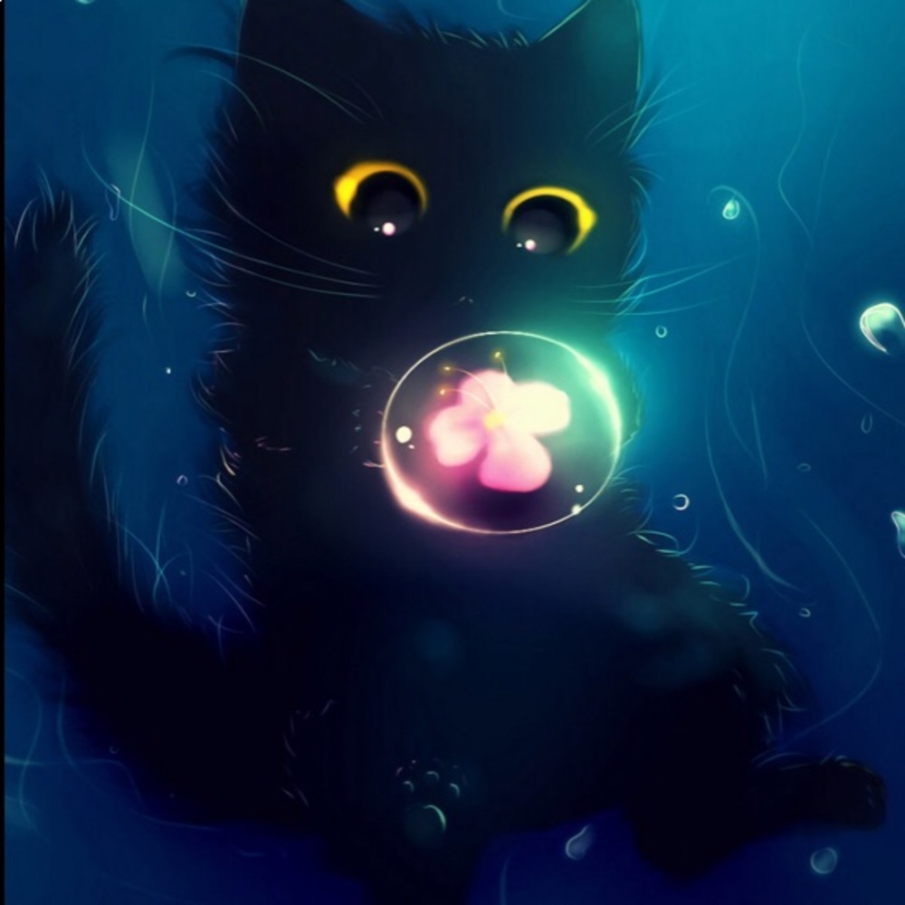 Meet your Posher, Shayy